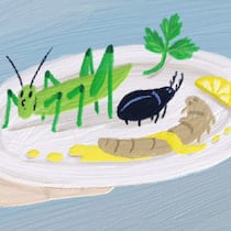 Ist da der Mehlwurm drin? Illustration in Oel, Insekten auf einem Teller, der von einer Hand gehalten wird.