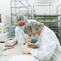 Wettlauf mit der Zeit gegen den Bauernschreck Forscherin Tanja Sostizzo mit Praktikantin Franziska Scheibler im Quarantäne-Labor von Agroscope