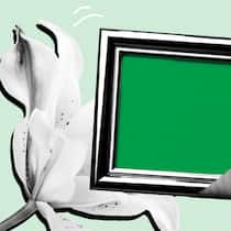 Das können Angehörige tun, wenn ein geliebter Mensch stirbt Illustration: Bilderrahmen ohne Bild und Lilien - Der Tod einer nahestehenden Person hinterlässt eine schmerzliche Lücke. Und vieles steht an, das erledigt werden muss. Der Beobachter hilft Ihnen mit dieser Checkliste, damit an alles gedacht ist