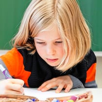 «Die meiste Kritik an Lehrern ist völlig berechtigt» Schülerin schreibt