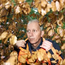 ... wie schlecht geht es unserem Wald? Portät von Förster Urs Steck, fotografiert durch Äste mit trockenem Laub.