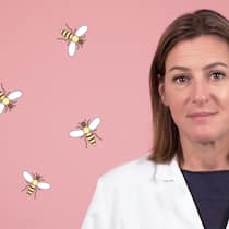 Können Hornissenstiche tödlich sein? Können Hornissenstiche tödlich sein?