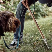 Auf Trüffeljagd im Stadtpark Thierry Garzotto mit Trüffelhündin Emma