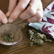 Keine Umschulung – wegen CBD-Konsum Mann baut einen Joint mit legalem CBD-Gras