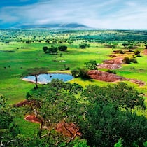 Versichert gegen Corona oder doch nicht? Serengeti-Nationalpark in Tansania