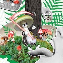 Pilze sammeln – das sollten Sie dazu wissen Eine Illustration zeigt lebendige Pilze, die im Wald spazieren, von Menschen gegessen oder im Korb gesammelt werden. Was rechtlich gilt in der Schweiz beim Pilzesammeln.