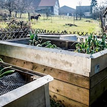 Ein Beet, viele Irrtümer Hochbeet