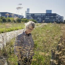 «Es kommt nicht von ungefähr, dass Gärtner am glücklichsten sind» Nicole Probst, Wissenschafterin, forsch über "Macht die Stadt krank?", Erlenmattquartier