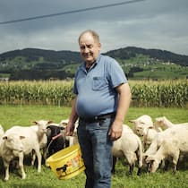 Er landete im Spital – danach fehlten über 8000 Franken Balázs-Zoltán Bakk mit Schafen - Ein rumänischer Schafhirt, der in der Ostschweiz arbeitet, plant einen Heimaturlaub. Stattdessen landet er im Spital – wo sein sauer verdienter Lohn verloren geht