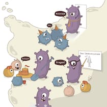 Wie die Superkräfte von Bakterien unserem Immunsystem helfen Viel ist die Rede von Mikroben, die unser Immunsystem unterstützen – aber wie können uns Bakterien wirklich helfen?