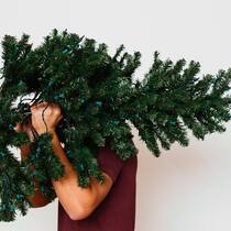 Ein Plastikbaum ist auf die Dauer besser Christbaum aus Plastik
