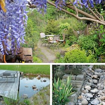 «Ein natürlicher Garten ist ein Widerspruch» Naturgarten