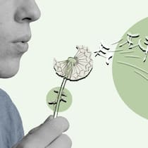 Suizid und Sterbehilfe – was rechtlich gilt Blüten einer Löwenzahn-Blumen verteilen sich im Freien - Sich selbst das Leben zu nehmen, ist ein Menschenrecht. Auch das Bundesgericht anerkennt das. Heikel wird es aber, wenn jemand dabei unterstützt. Der Beobachter erklärt, was in der Schweiz bei Sterbehilfe rechtlich gilt.