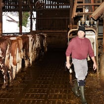 Das grosse Geschäft mit Bio Bio-Bauer mit Kühen: Nachhaltig geht auch günstig. Das will Aldi beweisen mit einem Label, das strengere Kriterien erfüllt als das Knospe-Siegel