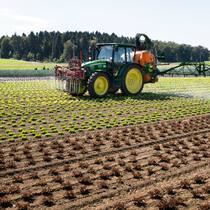 Welche Folgen die Landwirtschaftsinitiativen hätten Ein Insektizid soll den Salat auf dem Feld vor Blattlaeusen, ein Fungizid vor Pilzkrankheiten schuetzen. Der Traktor mit dem Spritzgeraet von Gemuese Kaeser beim Ensatz mit Pflanzenschutzmitteln in Birmenstorf am 17. September 2019. (KEYSTONE/Christian Beutler)