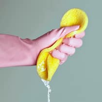 Für die «Maid» nicht ganz so sauber Putzfrau presst Wasser aus Schwamm