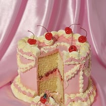 Warum eine Ostschweizer Familie 15 Millionen Franken weggibt We see a side view of a delicious cream and cherry cake. There is a large bluebottle fly on the pieces of cake on the table.