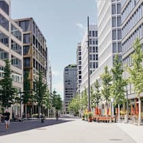 Das ginkgt zum Himmel Ginkgos an der Europaallee in Zürich; An der Zürcher Europaallee machen sich weibliche Ginkgobäume breit. Bald schon heisst das: Nase zu und durch.