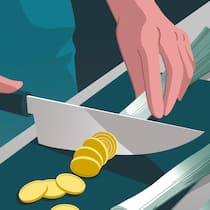 Die klugen Spartipps vom «Hausmütterchen» Illustation Lauchstengel werden zu Münzen geschnitten.