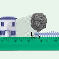 Wann ist Nachbars Bäumchen zu nah? Ein grüner Massstab misst den Abstand eines Baums, der zwischen zwei Häusern auf der Grenze des Grundstücks steht. Bei Abstandsvorschriften und der Frage, ob ein Gewächs zu nah am Grundstück steht, spielen drei Faktoren eine wichtige Rolle.