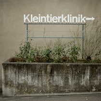 Missstände am Tierspital – Zürcher Kantonsrat wird aktiv Schild der Tierklinik – «Immense Kosten für Halterinnen und Halter» und «massiver Stress» für die Tiere: Nach den Enthüllungen des Beobachters erhöht sich der Druck auf das Tierspital