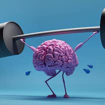 Machen Sie Ihr Gehirn zum Komplizen Ein illustriertes menschliches Gehirn stemmt Gewichte.