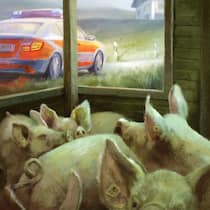 Wenn Schweinegestank zur täglichen Tortur wird Schweine im Stall