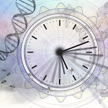 Im Takt der inneren Uhr Illustration einer Uhr, einer DNA-Spirale und Eulen.