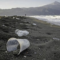 Die Suche nach dem plastikabbauenden Superenzym Plastikabfälle an einem Strand in der Türkei