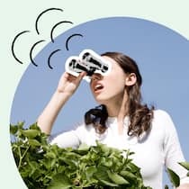 Zoff am Gartenzaun? Das gilt an der Grundstückgrenze Frau schaut durch Fernglas über eine Hecke - An der Grenze zum Nachbarn hört für manche der Spass auf. Was gilt rechtlich? Ein Überblick