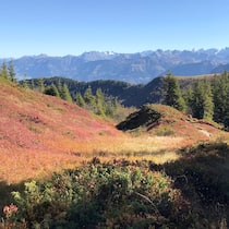 Diese sieben Ausflugstipps führen durch mystische Moore Das Hochmoor Haglere im Entlebuch - Moore sind im Herbst ein Landschaftstraum für Wanderinnen und Wanderer. Wir stellen sieben der schönsten Strecken der Schweiz vor