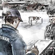 Bauer Burri und die hinkende Kuh Kontrolle des Veterinäramts bei Bauer Burri
