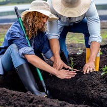 Nur wer sät, kann auch ernten Eine junge Frau sitzt im Gartenbeet und ein Mann steht daneben. Sie pflanzen etwas an.