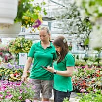 Neu in der Lehre – diese Rechte und Pflichten gelten Zwei Floristinnen begutachten die Pflanzen in einem grossen Gewächshaus. Mit dem Lehrstart gibt es für Auszubildende viele neue Regeln. Was das Arbeitsrecht in der Schweiz vorschreibt.
