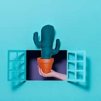 Sieben Monate lang Baustelle – wegen neuer Fenster Paper illustration with a cactus in a pot out of a windows.
