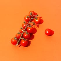 Warum hiesige Tomaten jetzt so teuer sind Kleine Tomaten vor orangenem Hintergrund. Durch teure Importzölle bei ausländischem Gemüse steigen auch die Preise für Schweizer Produkte.