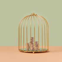 Wegen Erbschaft in die Sozialhilfe Geldmünzen aufgehäuft in einem Vogelkäfig