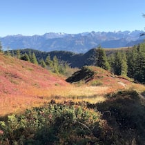 Hier sind 7 mystische Wanderungen durch Moore Das Hochmoor Haglere im Entlebuch - Moore sind im Herbst ein Landschaftstraum für Wanderinnen und Wanderer. Wir stellen sieben der schönsten Strecken der Schweiz vor