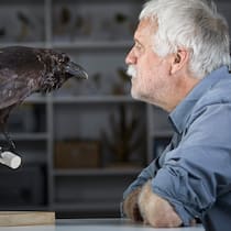 Grosse Schauspieler, geborene Trickser Als Kind fürchtete er sich vor den schwarzen Vögeln: Dohlenexperte Christoph Vogel