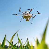 «Vielleicht werden bald kleine Roboter die Felder bewirtschaften» GPS-Drohne wirft Nützlinge über Feld ab