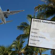 Wann sind Flugpreise verbindlich? Flugzeug und Flugreiseangebot