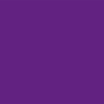 Wir sind gleich. Oder? Farbiger Hintergrund im Violett des Frauenstreiks