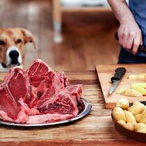 Was sind Kohlenhydrate? Ein Mann schneidet Kartoffeln und bereitet Fleisch zu – unter dem aufmerksamen Blick seines Hundes.