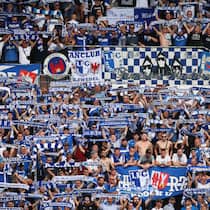 «Im Fussball geht es darum, einem Stamm anzugehören» Fans des 1. FC Magdeburg im August 2022 am Auswärtsspiel beim FC St. Pauli in der 2. Bundesliga.