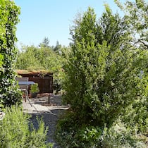 «Man muss den Garten nicht gleich umgraben» Garten