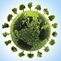 Wie nach der Krise ein grüner Neustart gelingen kann Klimawandel: Hilft die Corona-Krise für die Zukunft?