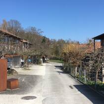 «Lichtblick des Tages»: Der Weg zum Abfallcontainer «Lichtblick des Tages» vom 06. April 2020: Der Weg von der Haustür zum Abfallcontainer