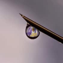 Das Feilschen um Geheimnisse Eine Spritze, aus der ein Tropfen läuft. Darin spiegelt sich eine 1000-Franken-Note.