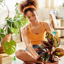 Tief durchatmen, die Luft ist rein Eine junge Frau sitzt im Wohnzimmer auf dem Boden und topft eine Zimmerpflanze ein