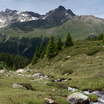 Die Landschaft wird verschlimmbessert Blick auf die Alp Flix in Graubünden.